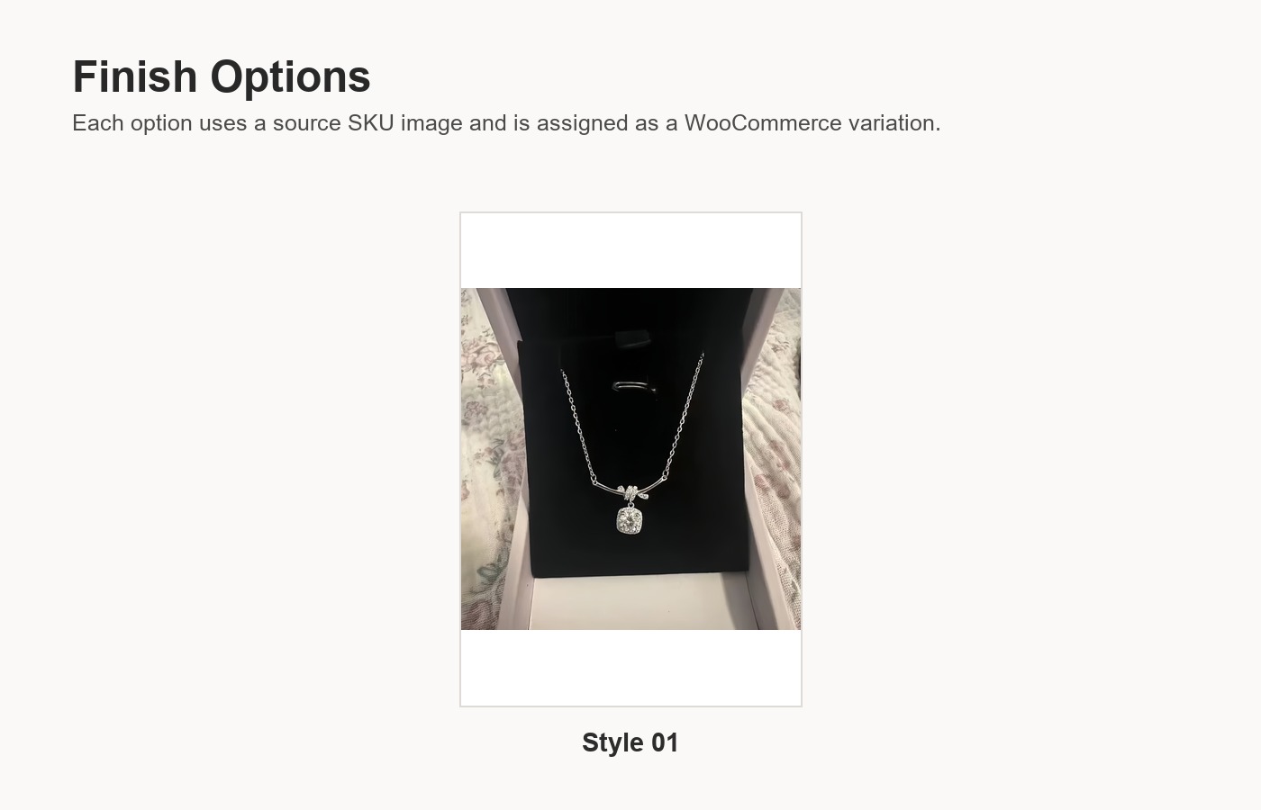 S925 Silver CZ Light Luxury Collarbone Chain Necklace for Women detail image