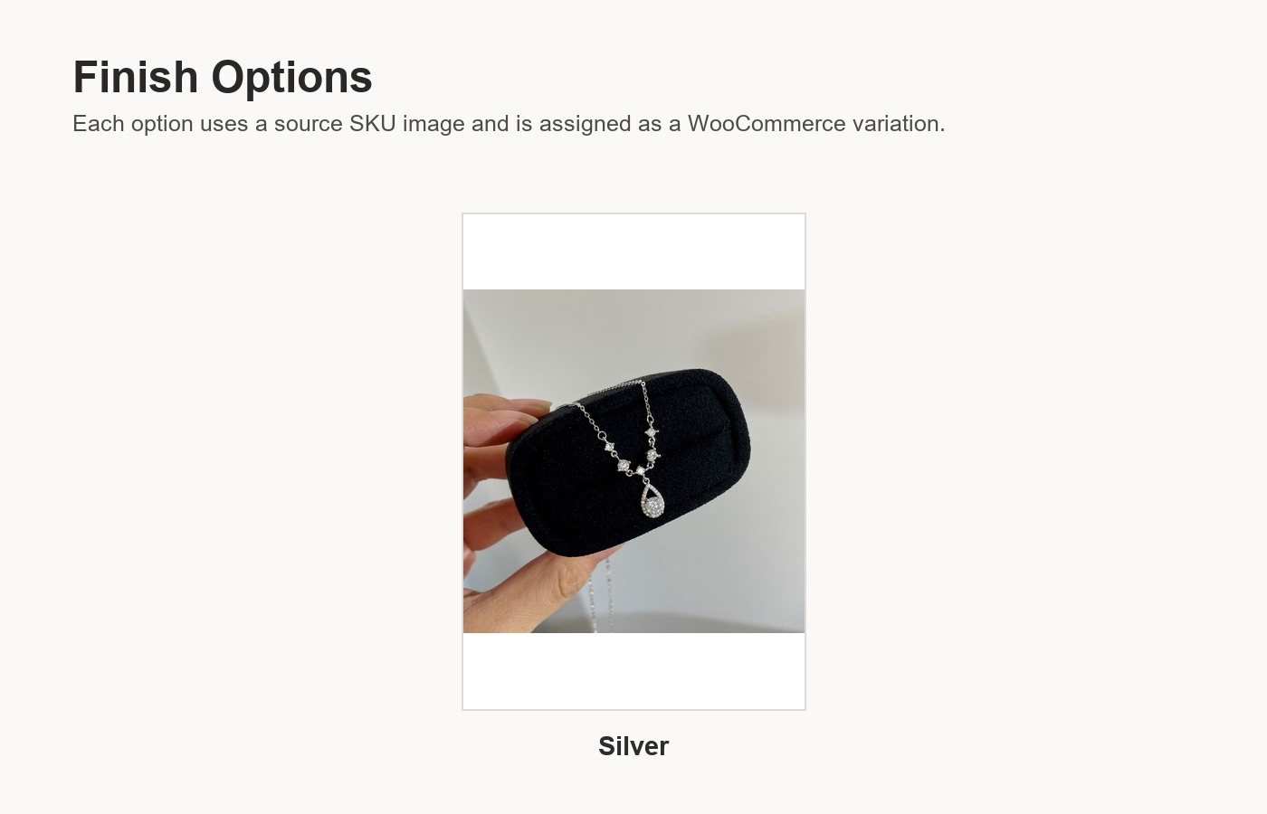 S925 Silver CZ Minimalist Collarbone Chain Cross Chain Party Necklace for Women detail image