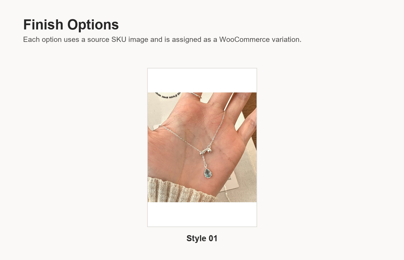 S925 Silver CZ Minimalist Light Luxury Collarbone Chain Necklace for Women detail image