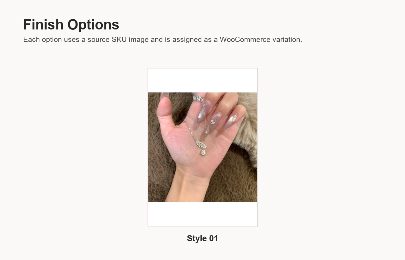 S925 Silver CZ Minimalist Light Luxury Collarbone Chain Necklace for Women detail image