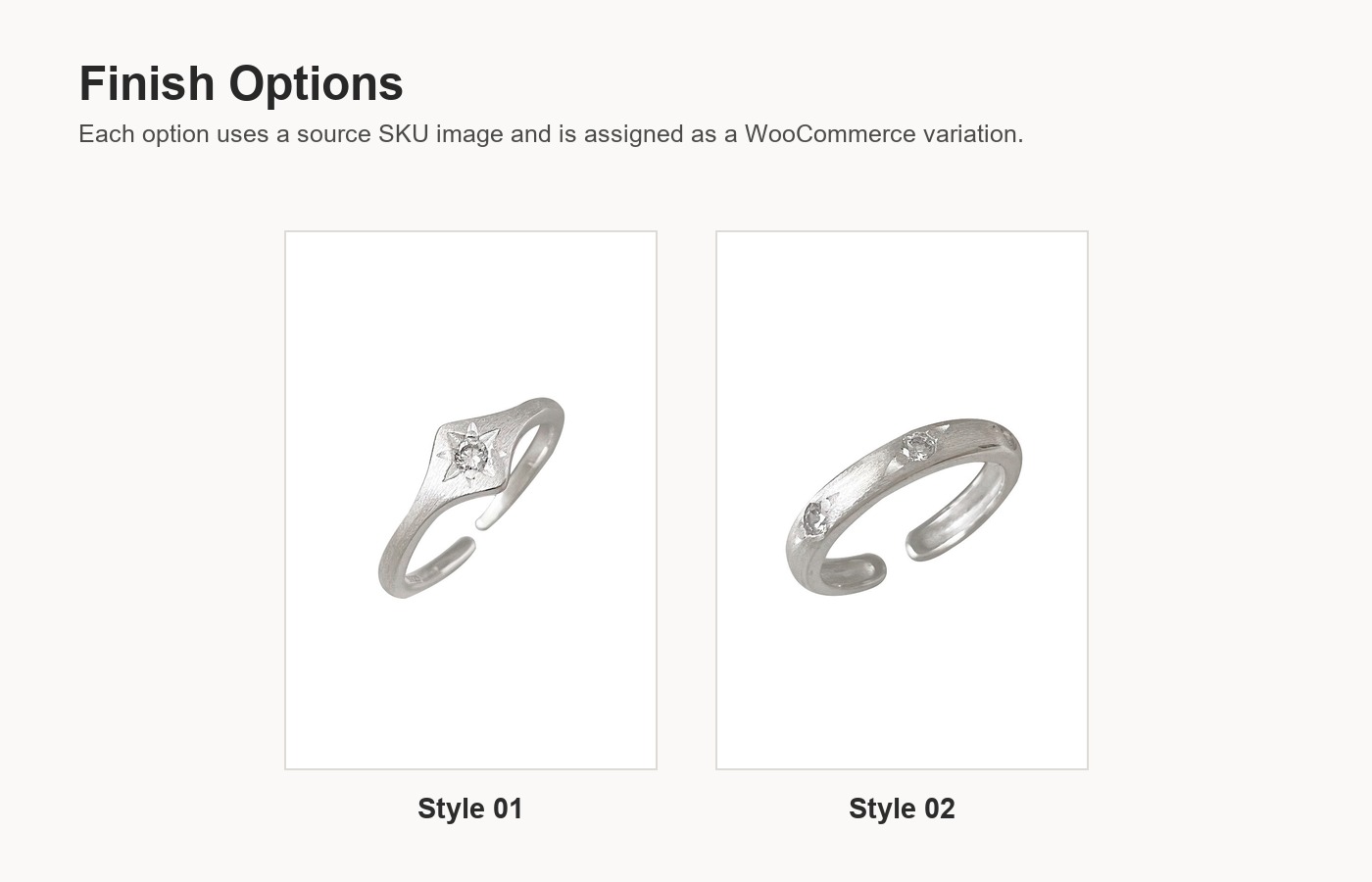 S925 Silver CZ Sparkle CZ Minimalist Brushed Ring for Women detail image