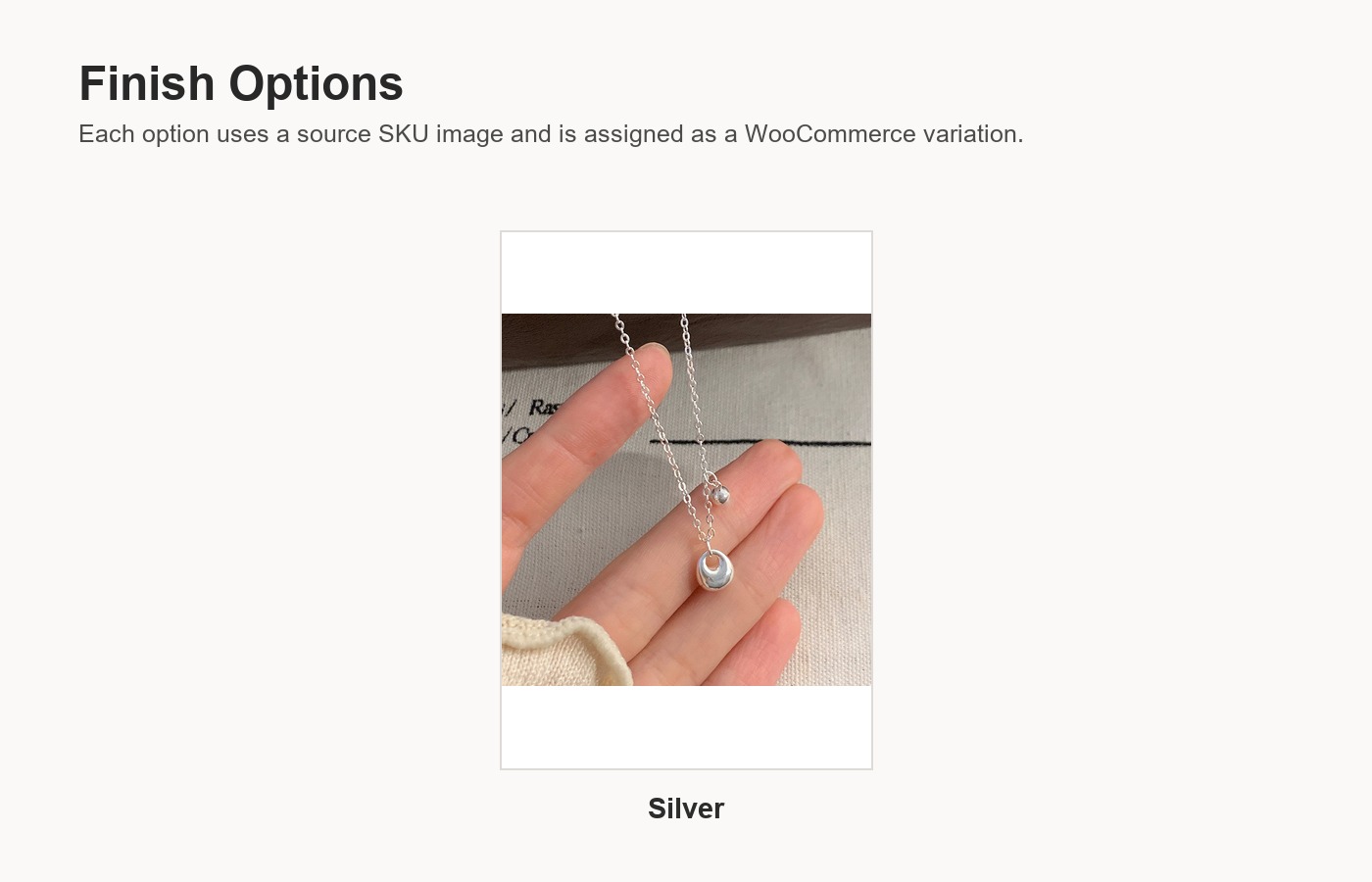 S925 Silver Minimalist Collarbone Chain Necklace for Women detail image