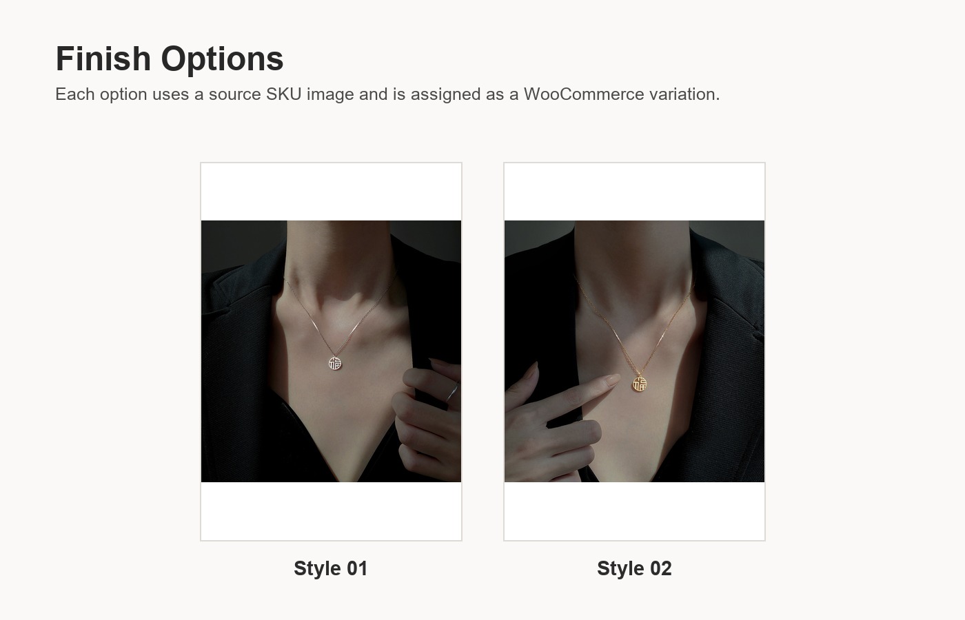 S925 Silver Modern Chinese Minimalist Collarbone Chain Necklace for Women detail image