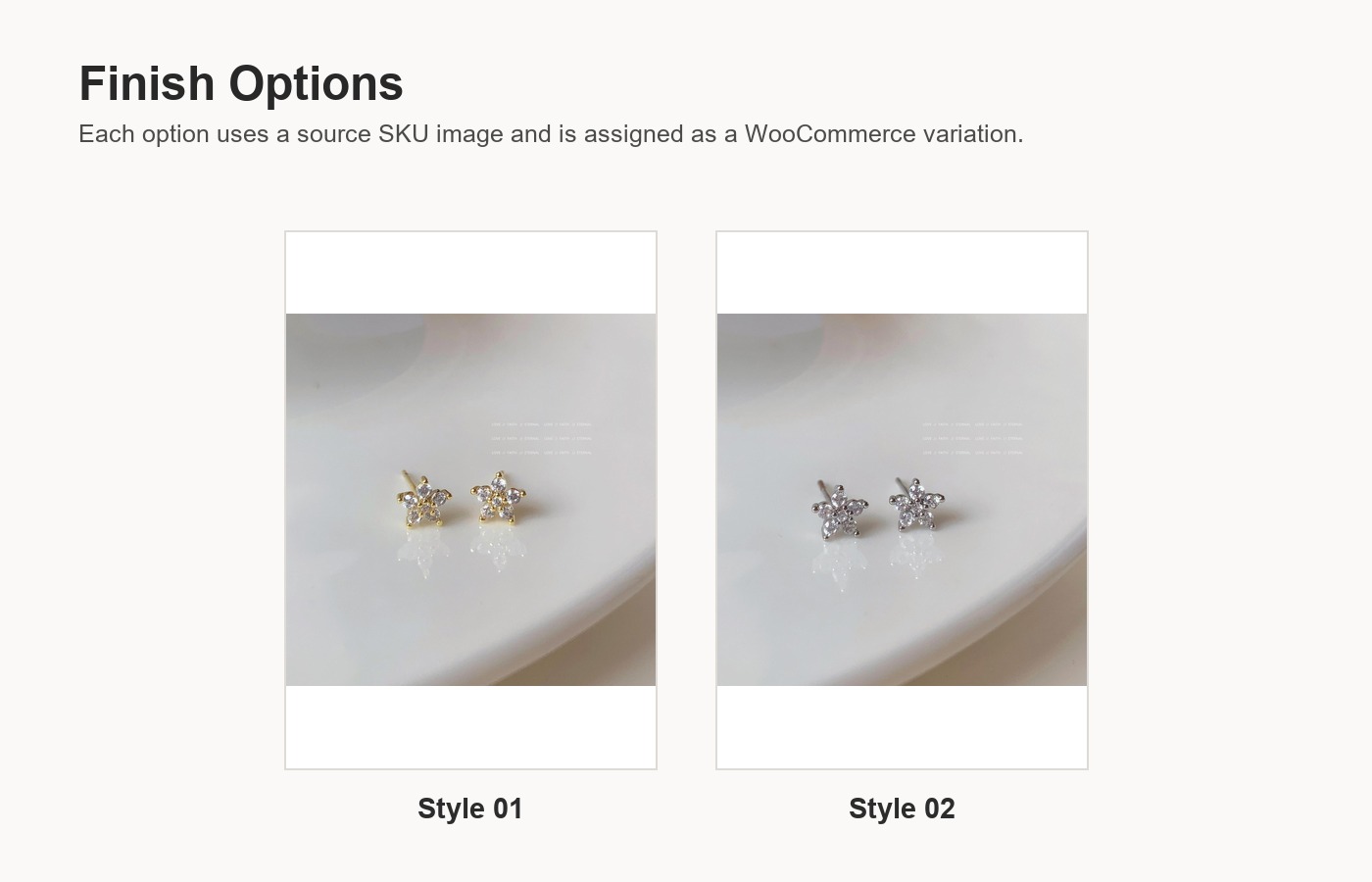 S925 Silver Star Full CZ Light Luxury Stud Earrings for Women detail image