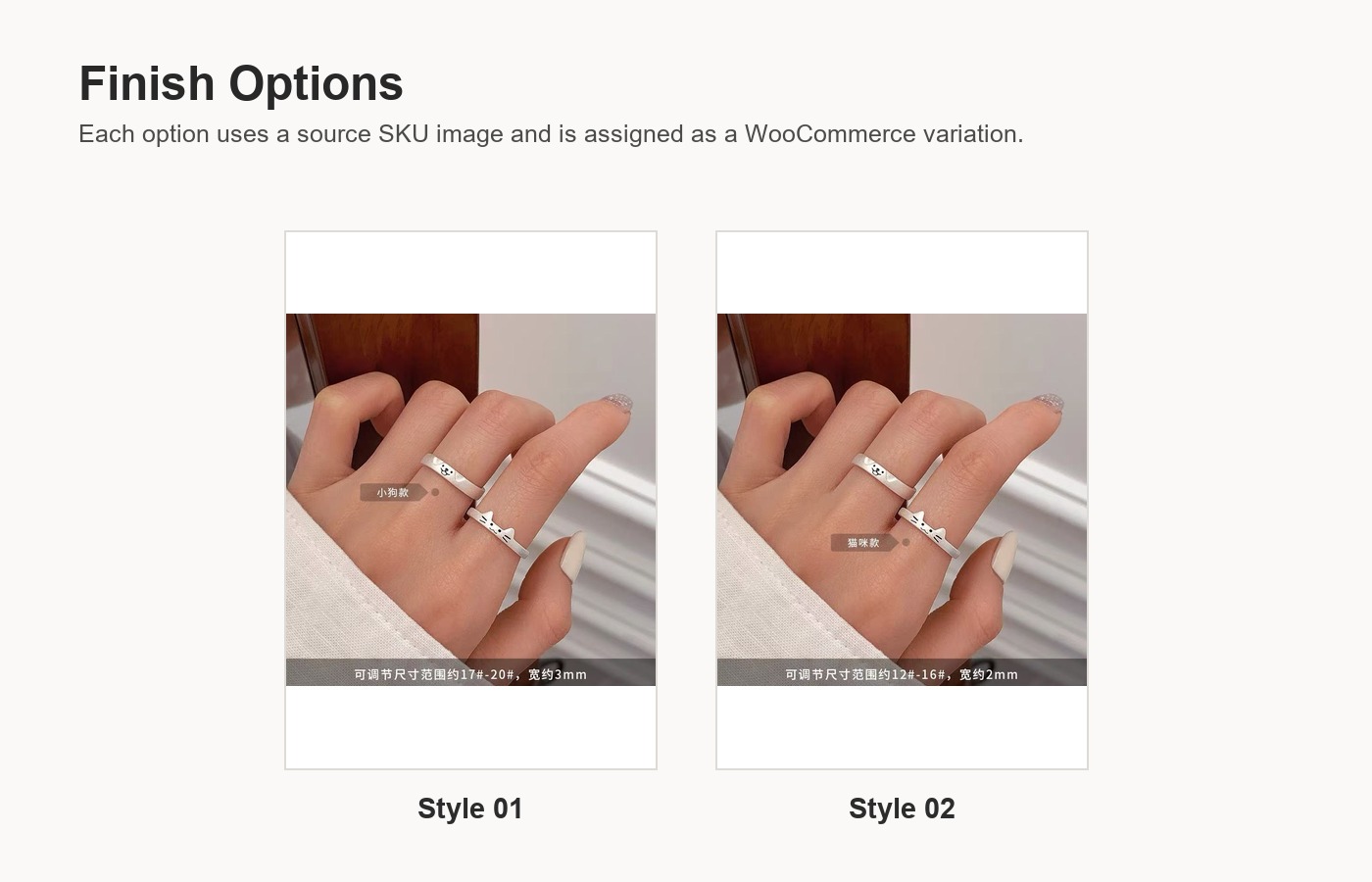 S999 Silver Light Luxury Minimalist Ring for Women detail image